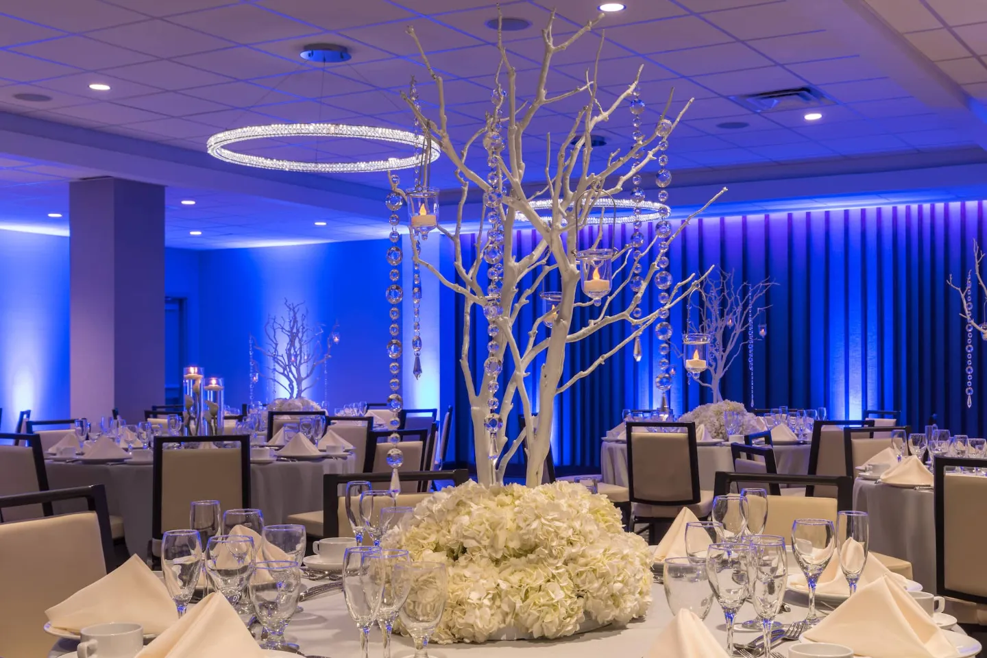 Ballroom banquet setup